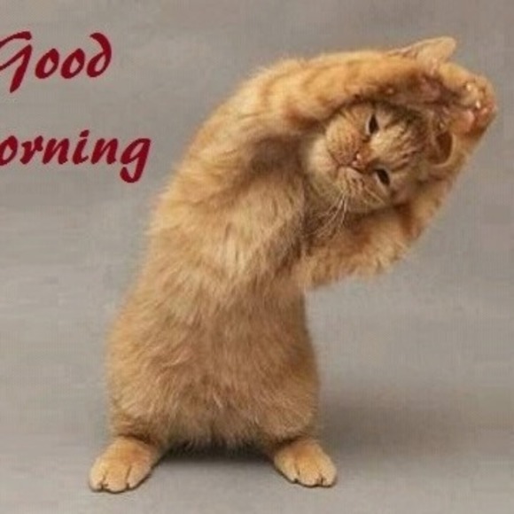 Meet your Posher, William - Picture 1 of 1